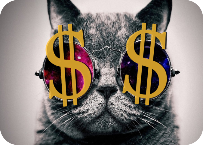 cat-money.png